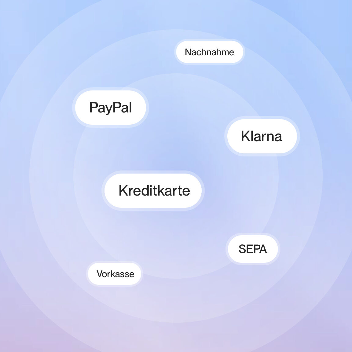 Auswahl der Zahlungsarten von PayPal bis SEPA