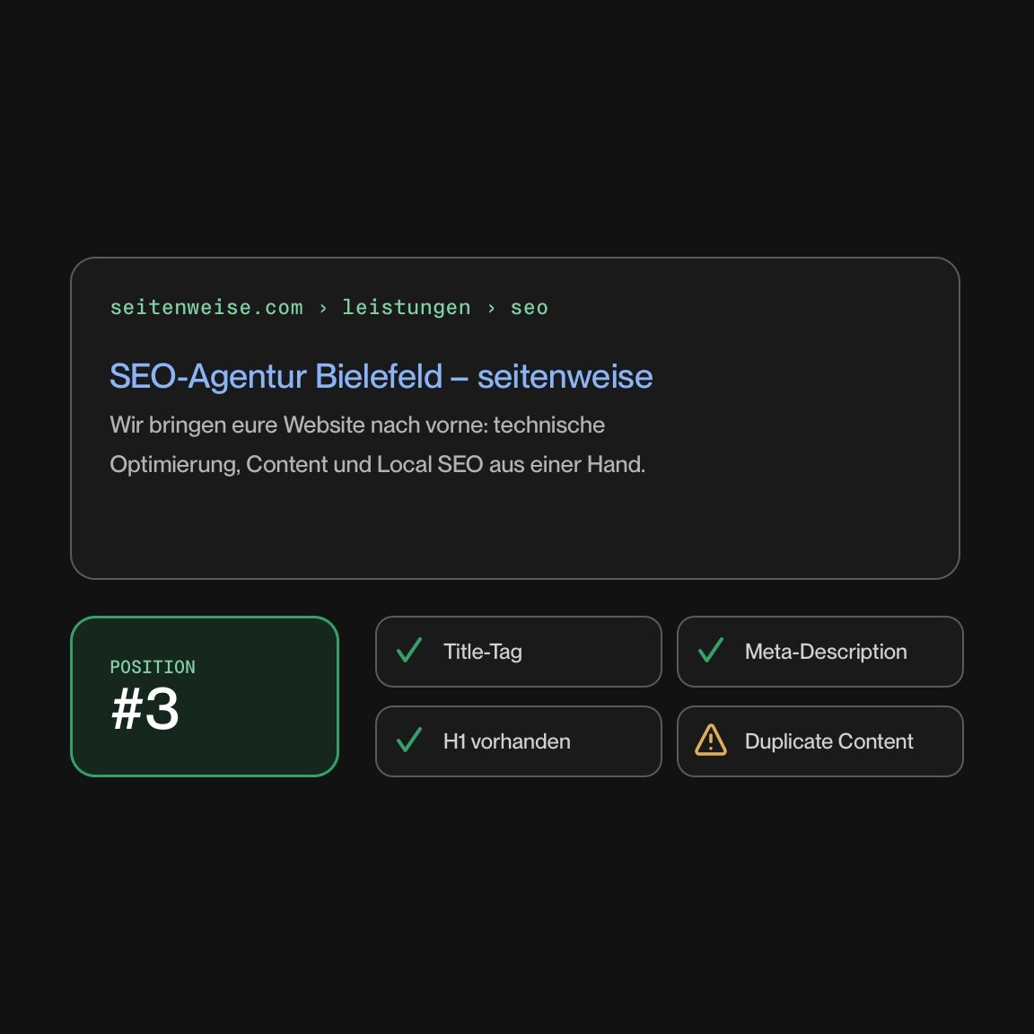 SEO-Audit mit Suchergebnis auf Position 3 und Prüfpunkten